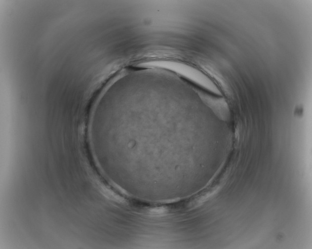 X0000092030309200709061620