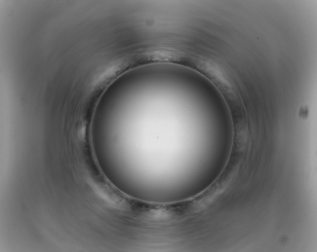 X0000092030310200709061620
