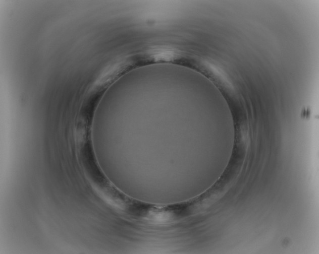 X0000092030311200709061620