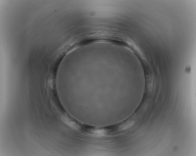 X0000092030313200709061620