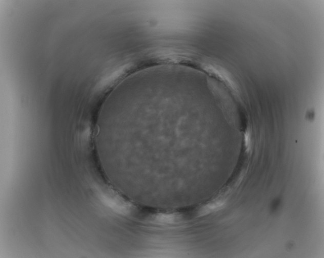 X0000092030314200709061620