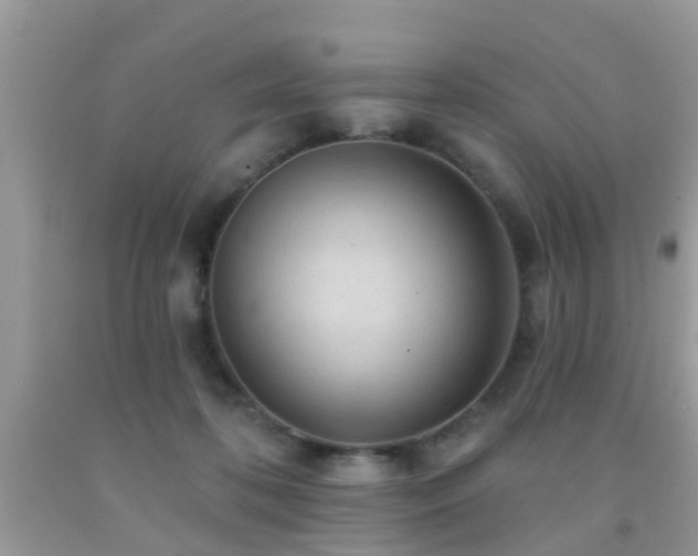X0000092030316200709061620