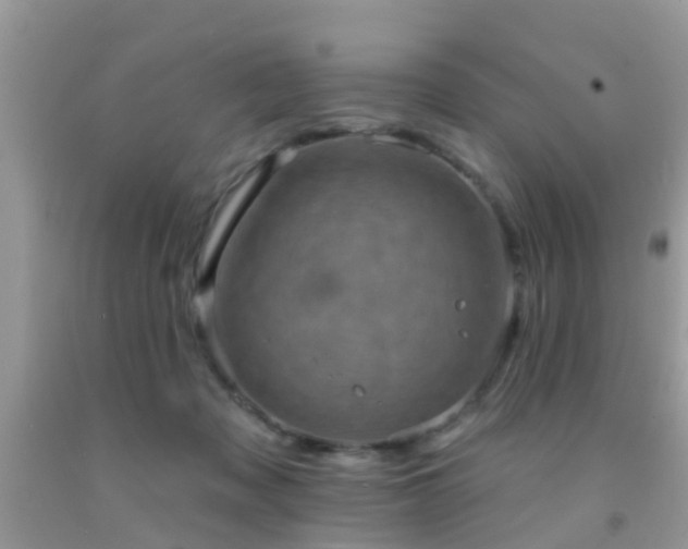 X0000092030317200709061620
