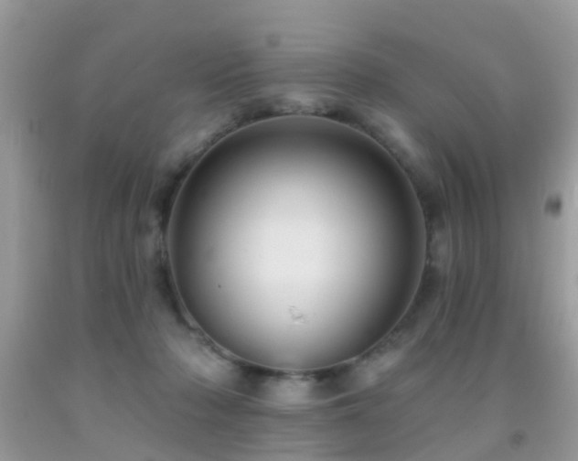 X0000092030318200709061620