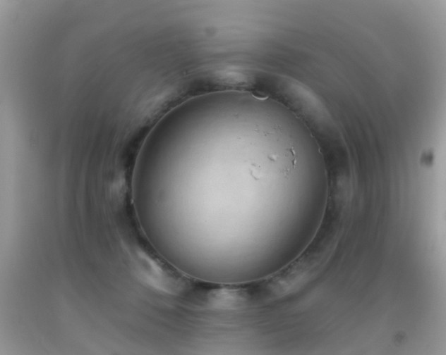 X0000092030320200709061620