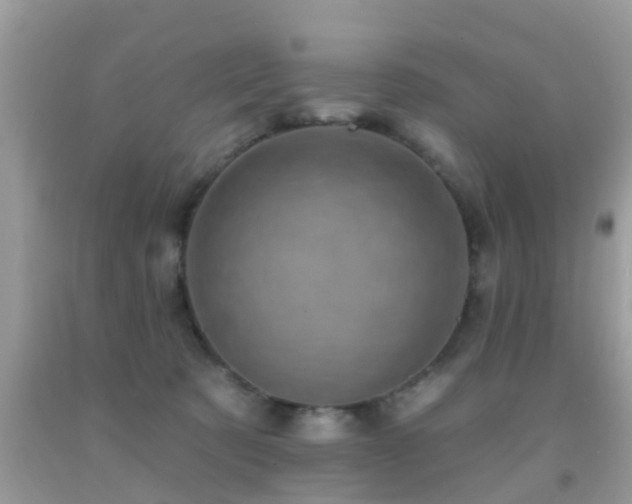 X0000092030321200709061620