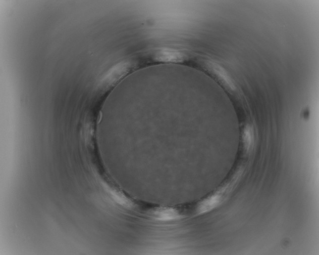 X0000092030322200709061620