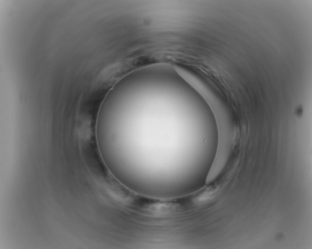 X0000092030323200709061620