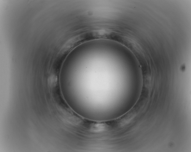 X0000092030324200709061620