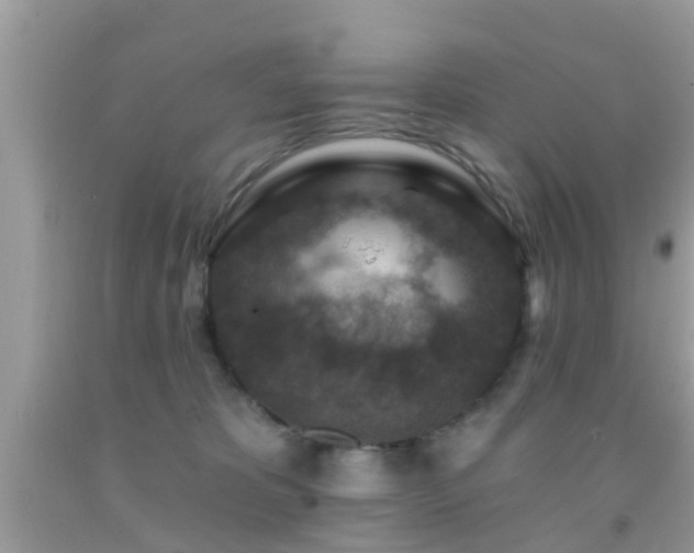 X0000092030325200709061620