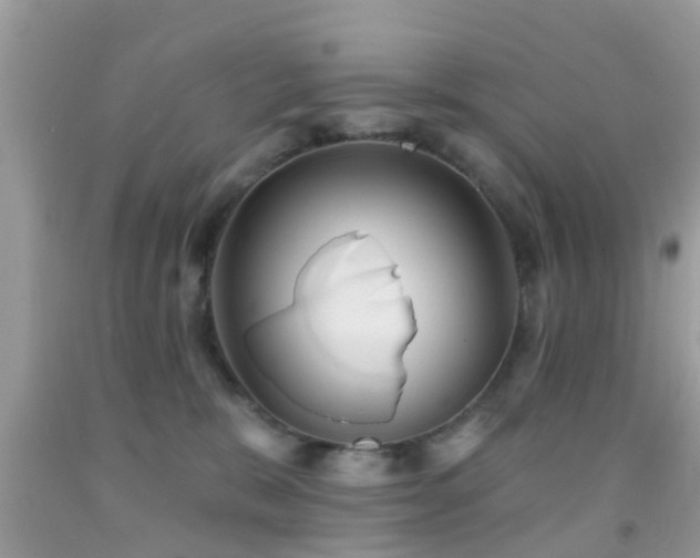 X0000092030327200709061620