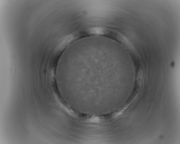 X0000092030330200709061619