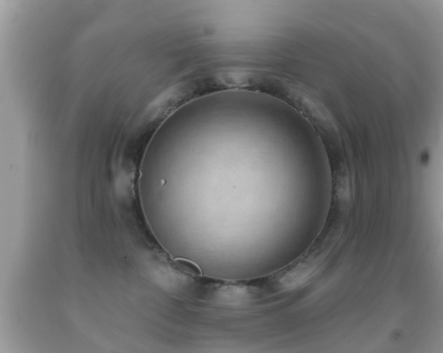 X0000092030332200709061619