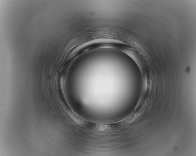 X0000092030333200709061619