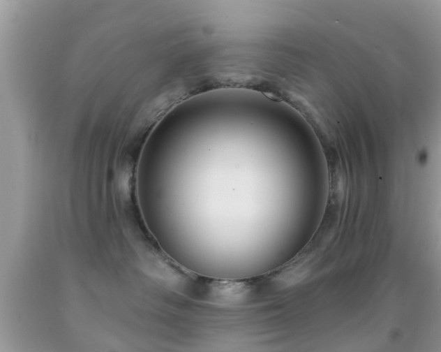 X0000092030334200709061619