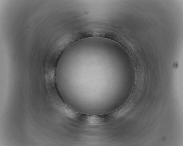 X0000092030336200709061619