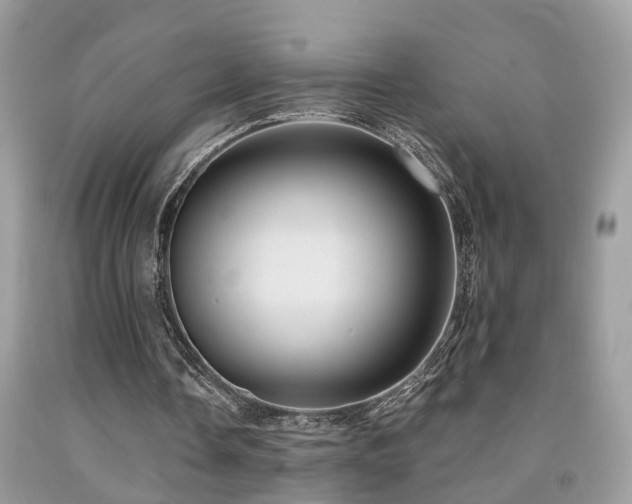 X0000092030338200709061619