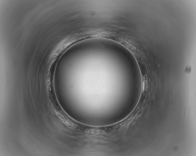 X0000092030339200709061619