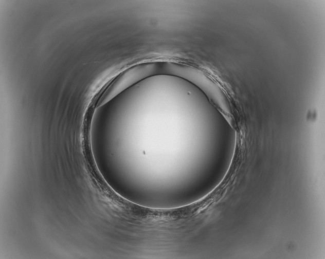 X0000092030340200709061619