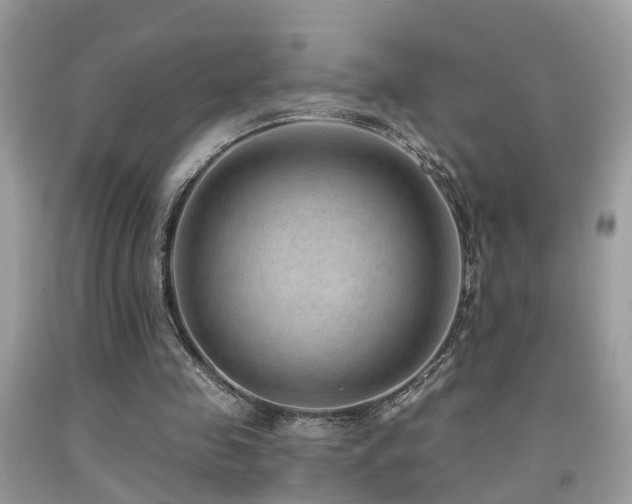 X0000092030341200709061619