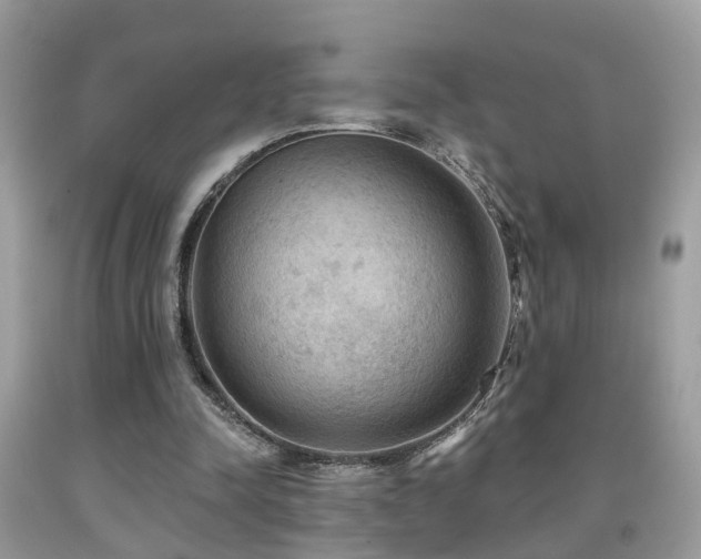 X0000092030342200709061619