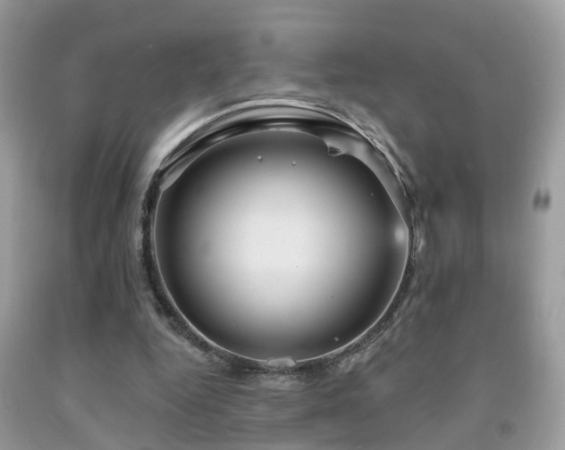 X0000092030344200709061619