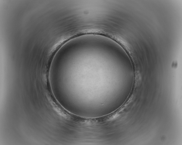 X0000092030345200709061619