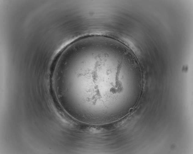 X0000092030346200709061619