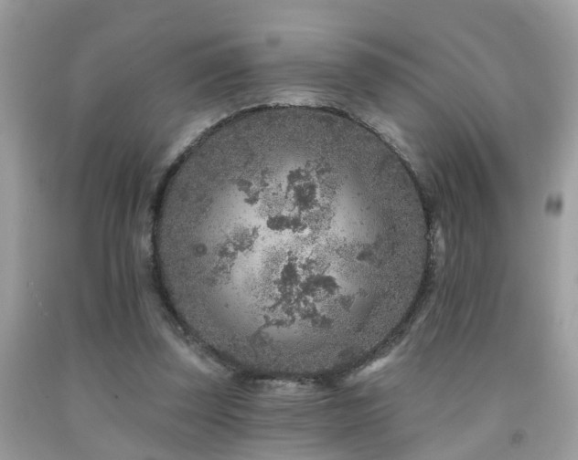X0000092030347200709061619