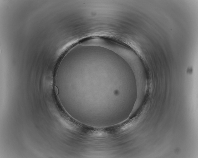 X0000092030348200709061619
