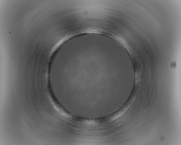 X0000092030349200709061619