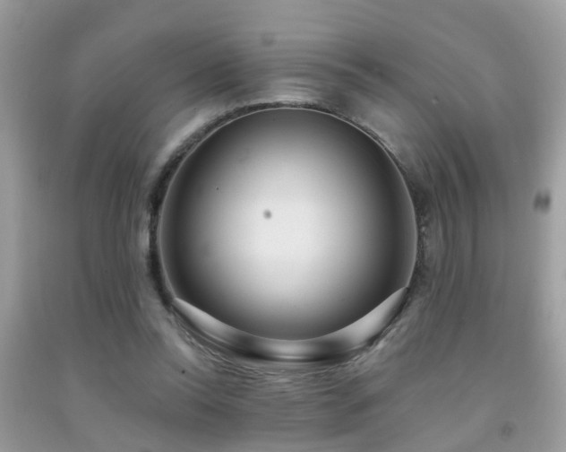 X0000092030350200709061619