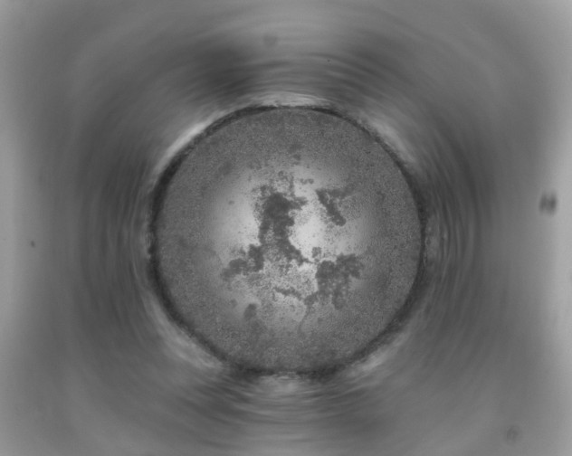 X0000092030351200709061619