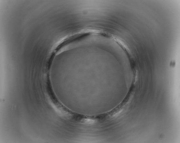 X0000092030352200709061619