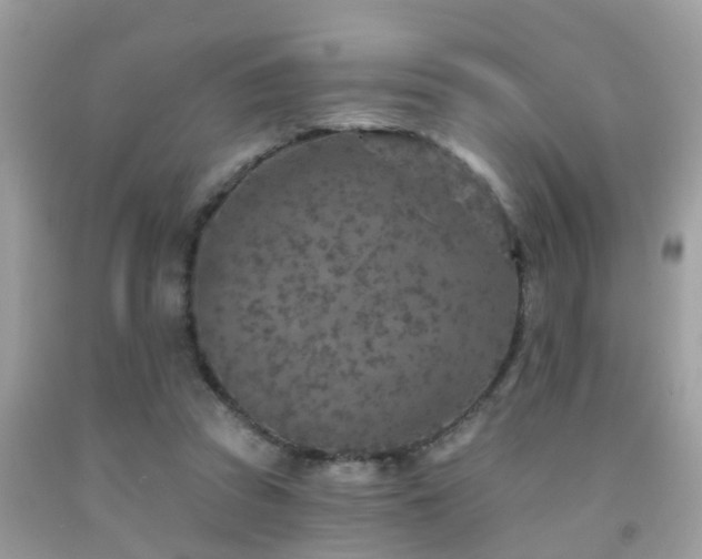 X0000092030353200709061619