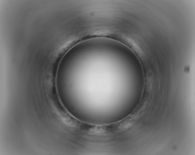 X0000092030354200709061619