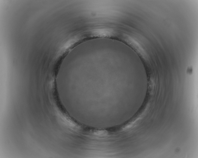 X0000092030355200709061619