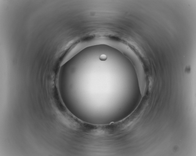 X0000092030356200709061619
