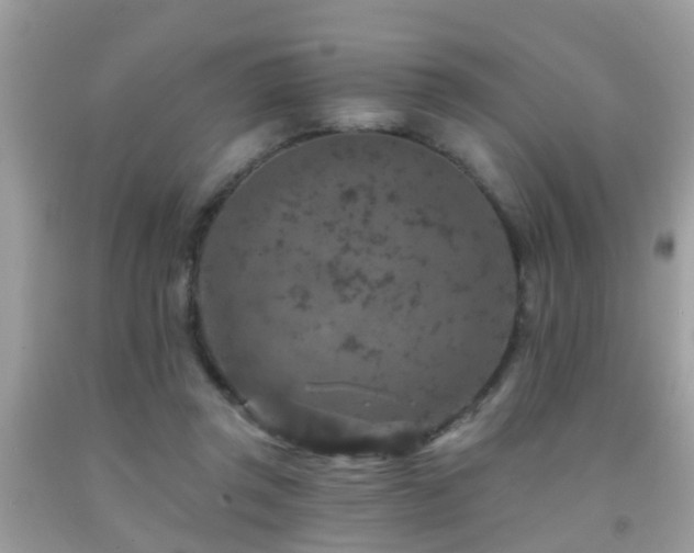 X0000092030357200709061619