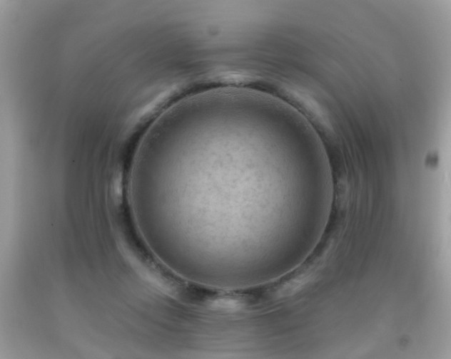 X0000092030358200709061619