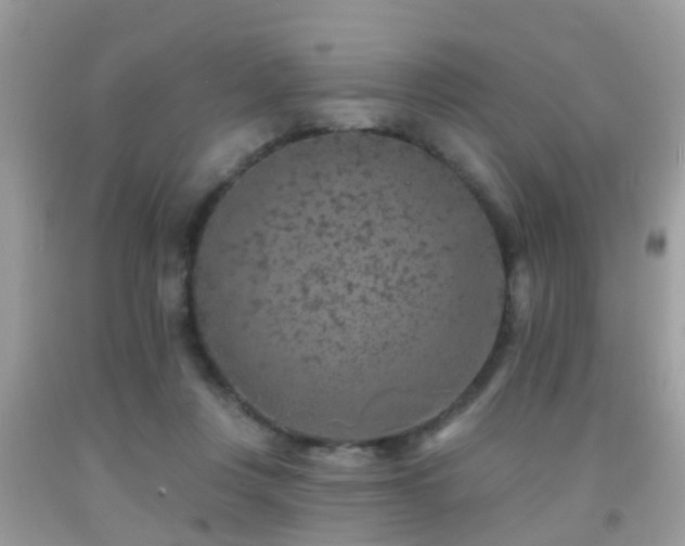 X0000092030359200709061619