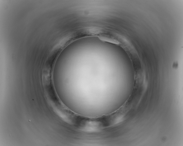 X0000092030360200709061619