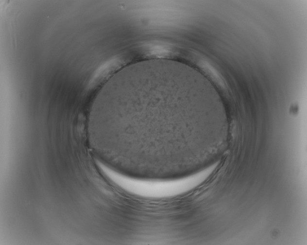 X0000092030361200709061619