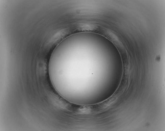 X0000092030362200709061619