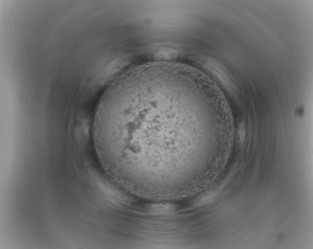 X0000092030363200709061619