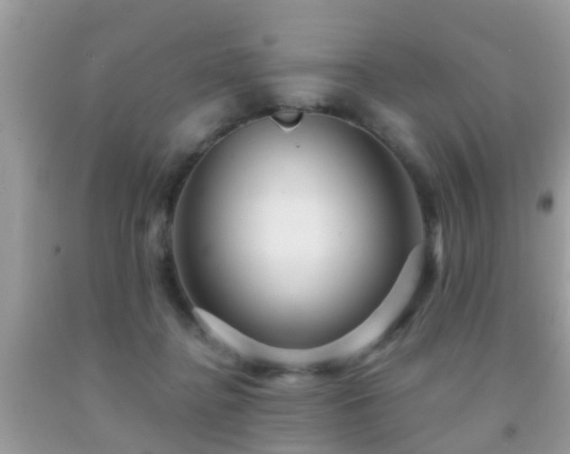 X0000092030364200709061619