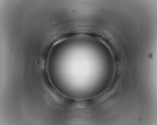 X0000092030368200709061619