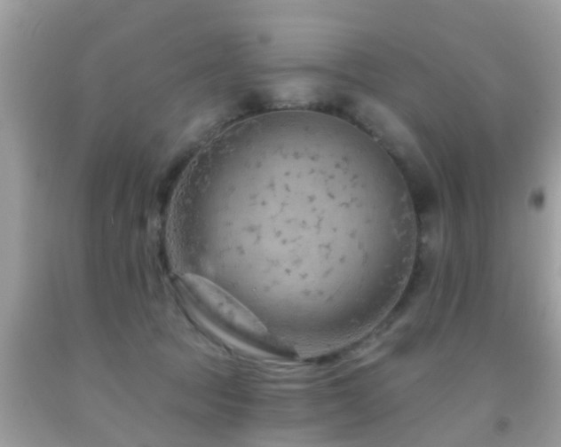 X0000092030369200709061619