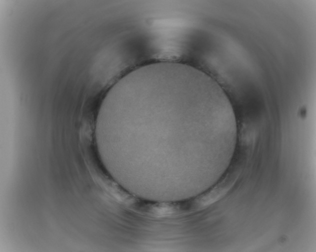 X0000092030370200709061619