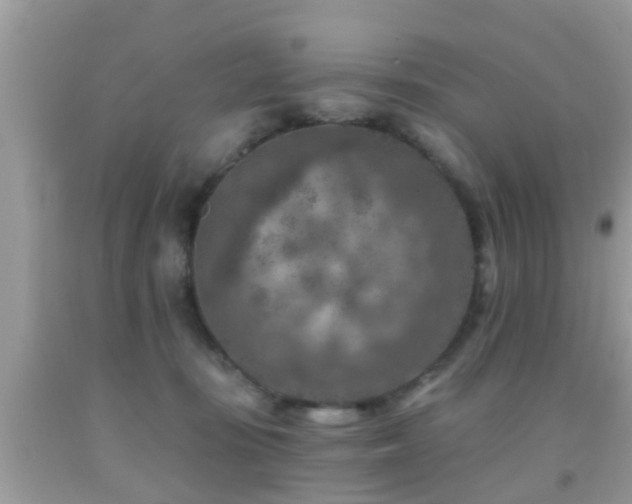 X0000092030371200709061619